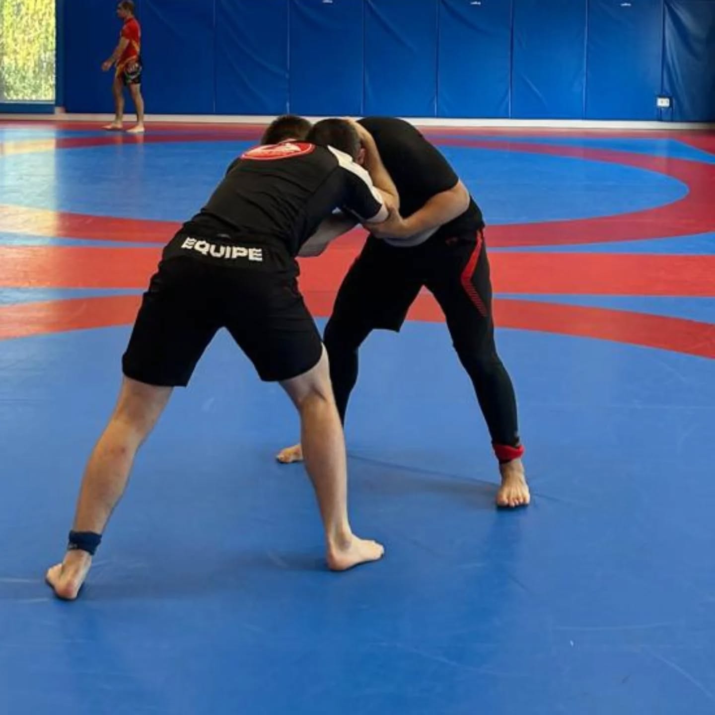 Celebrado el Campeonato Navarro de Grappling U20 y Sénior 2025